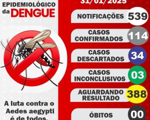 boletim-da-dengue-redes.jpg