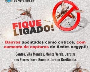 dengue-2_(510).jpg