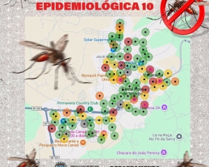 dengue-2b.jpg