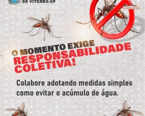 dengue-3.jpg