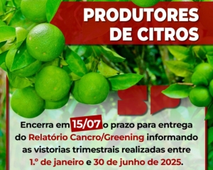 produtores-de-citrus-redes.jpg