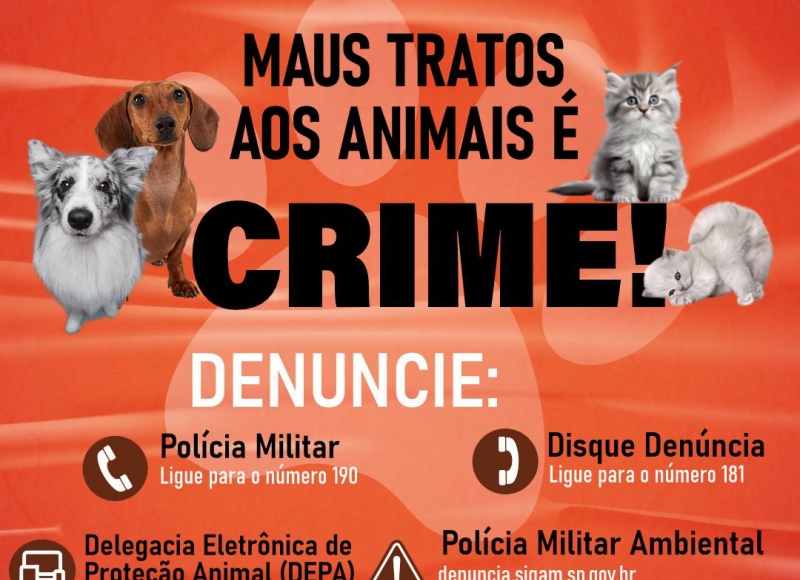 ABRIL LARANJA | Mês de Prevenção à Crueldade contra os Animais