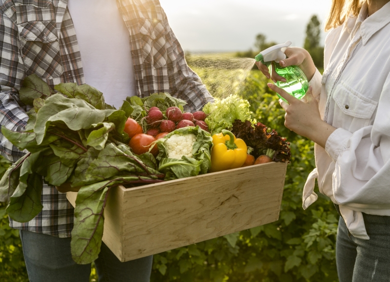 Estão abertas as inscrições para o Programa de Aquisição de Alimentos (PAA) 2025/2026.