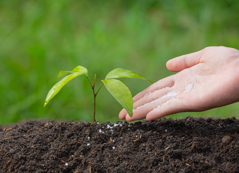 Reunião on-line marca início do Projeto de Restauração Ecológica em Santa Rosa de Viterbo