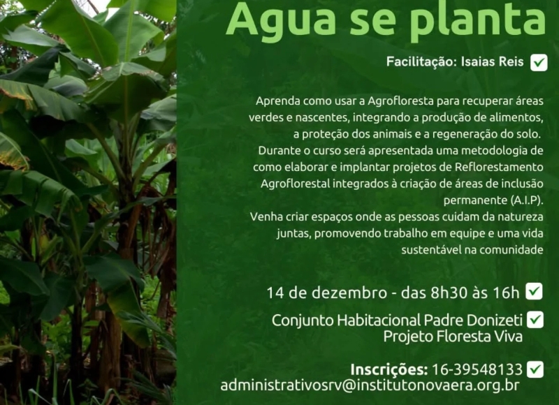 Curso Gratuito de Reflorestamento Agroflorestal: 