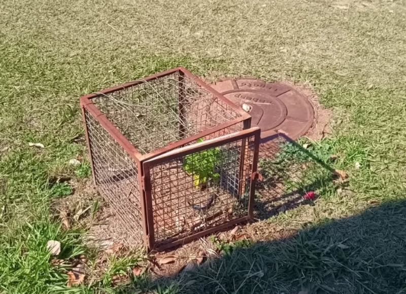 Cristo Redentor fica no escuro após furto de holofotes