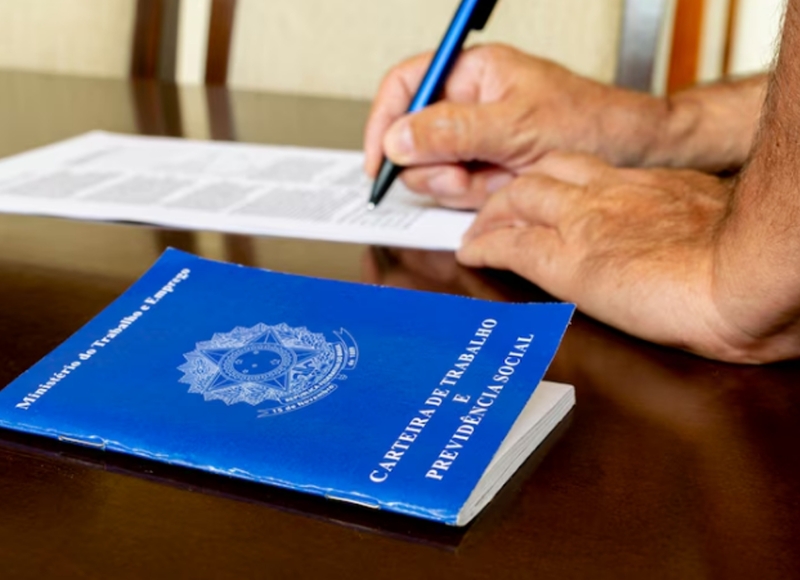 Confira algumas vagas disponíveis no 2º Mutirão de Empregos