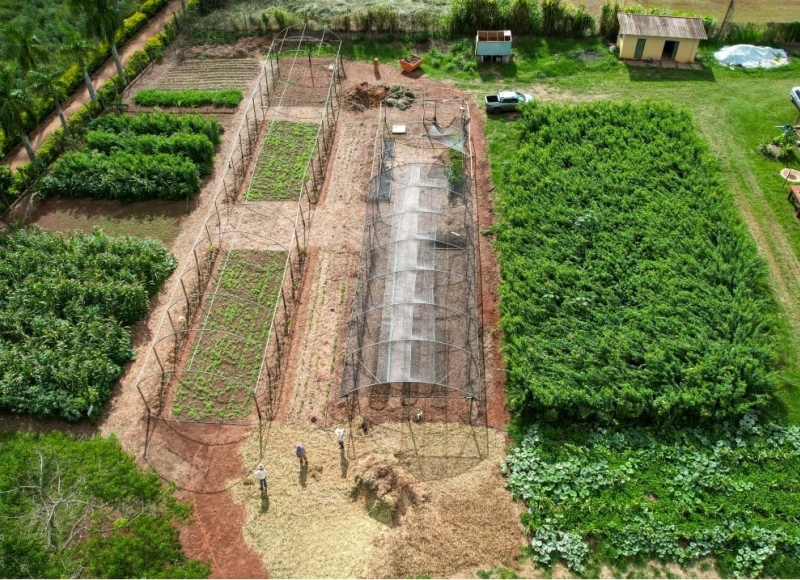 O Primeiro Ano do Programa de Educação Ambiental de Santa Rosa de Viterbo