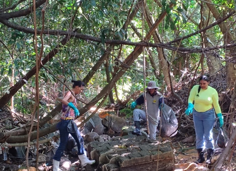 Combate à Dengue: Ação de limpeza no Córrego Lagoa e a importância do apoio da população