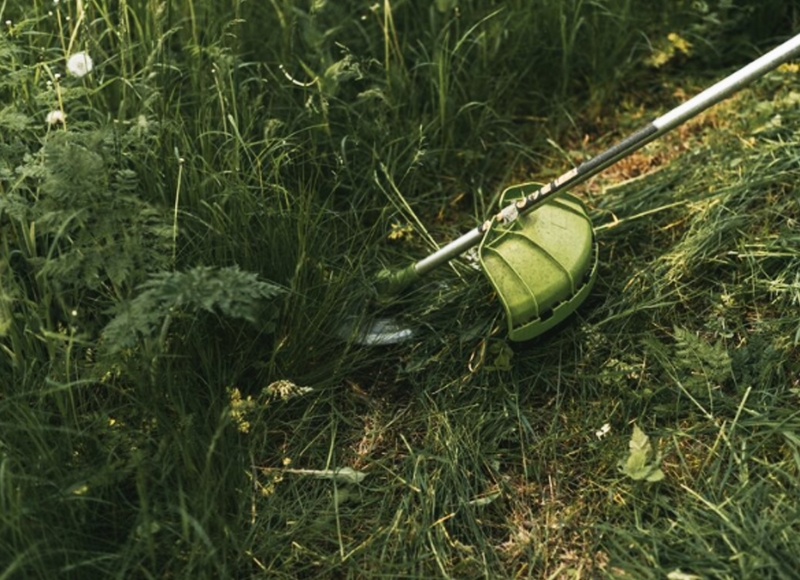 Atenção, donos de terrenos:  A Fiscalização de Posturas emitiu Edital de Notificação para limpeza