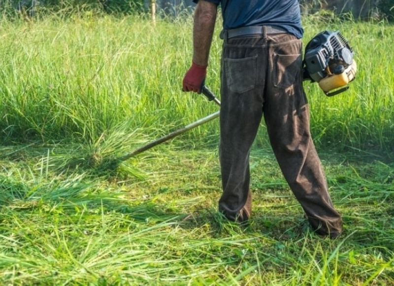 Setor de Fiscalização de Posturas emite edital para limpeza de terrenos