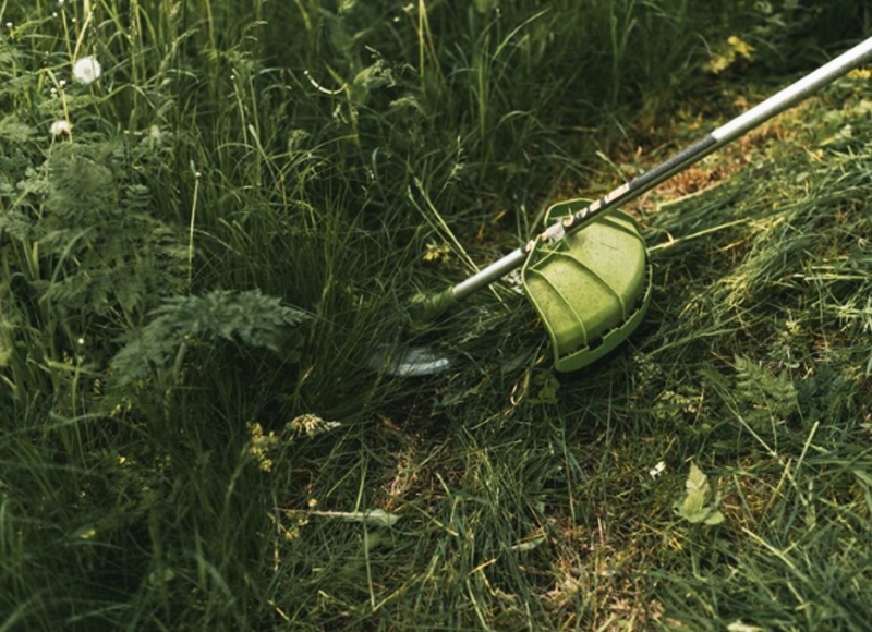 Setor de Fiscalização de Posturas Emite Edital de Notificação para Limpeza de Terrenos