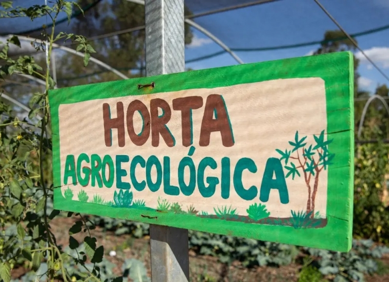 Dia do Meio Ambiente: Venha conhecer a Escola de Educação Ambiental de Nhumirim!