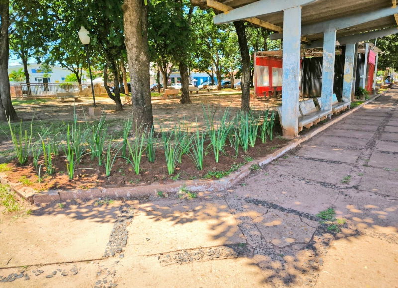  Continuação do plantio de flores na Praça Estrela Azul 