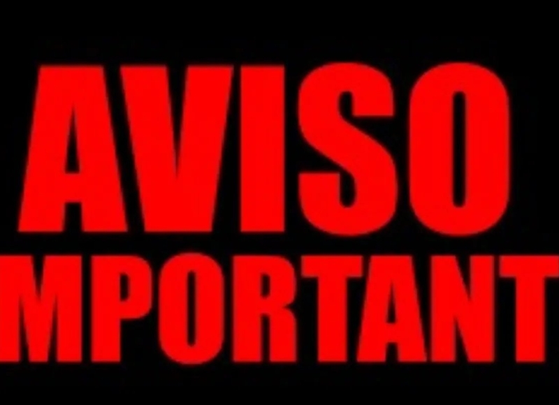 Departamento de Meio Ambiente esclarece sobre poda drástica de árvores 