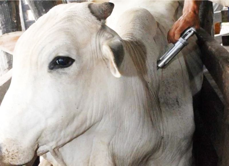 COMUNICADO AO PRODUTOR RURAL