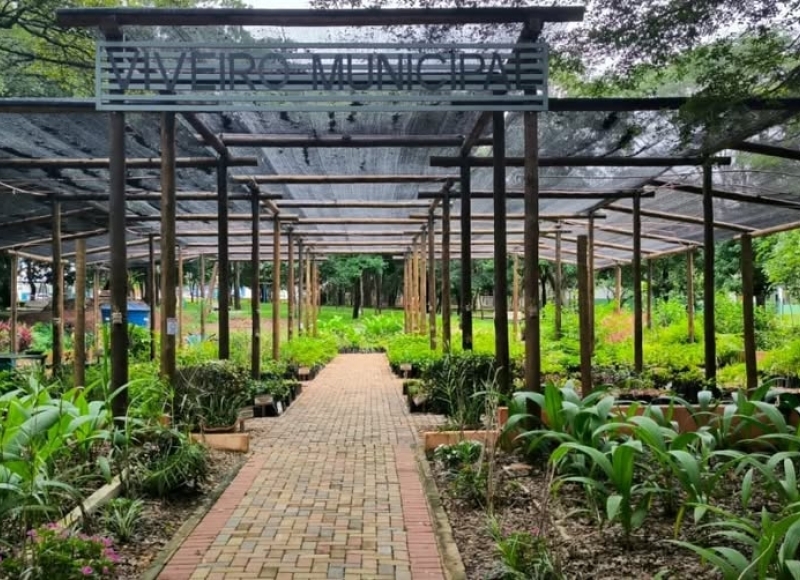 Viveiro Municipal Escola doou 627 mudas para reflorestamento e calçadas durante o mês de janeiro