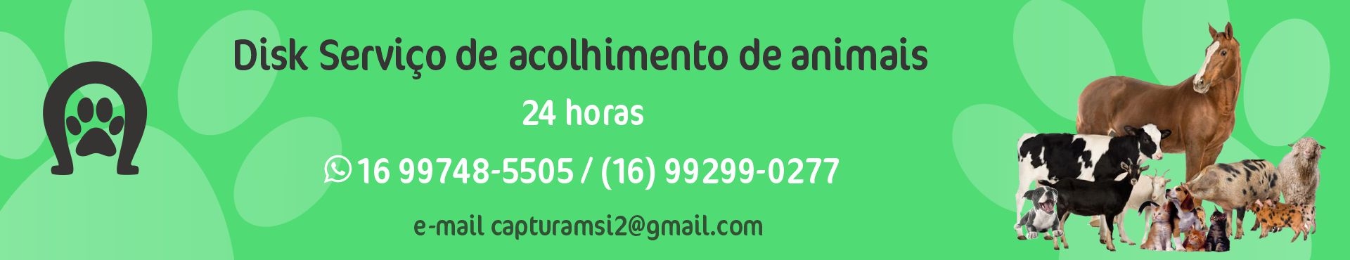 Acolhimento de animais