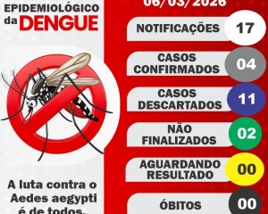 boletim-da-dengue_(160).jpg