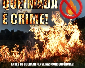 ilustracao-queimadas.jpg