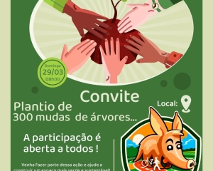 plantio-de-mudas.jpg
