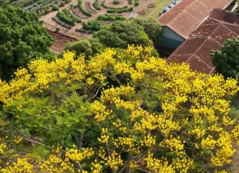 PLANEJAMENTO 2026: Educação Ambiental em Ação em Santa Rosa de Viterbo!
