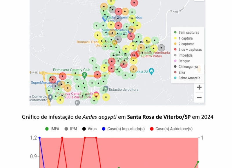 Santa Rosa está em nível de risco CRÍTICO de infestação de Aedes aegypti