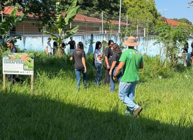 MAIS UM ANO DE ESCOLA VIVA EM SANTA ROSA DE VITERBO!