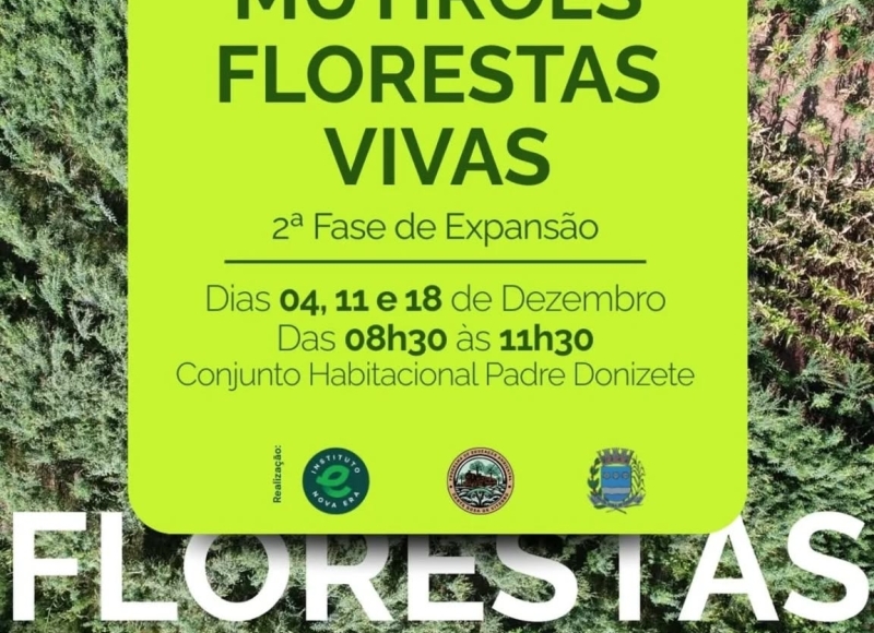 Mãos à Obra! Mutirões Florestas Vivas – Segunda Fase de Expansão