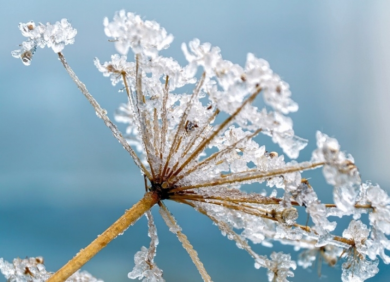 Nova frente fria deve chegar sexta-feira (16) a Santa Rosa 