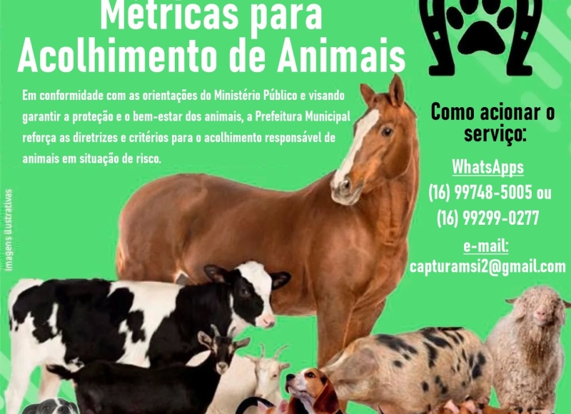 Métricas para Acolhimento de Animais