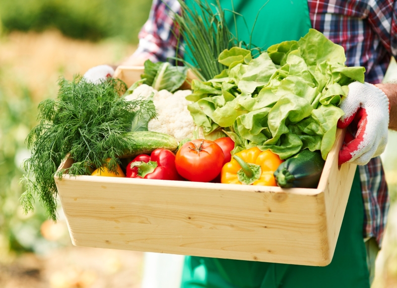 CONVITE AO PRODUTOR RURAL: Palestras sobre Opções de Cultivos em Olerícolas e Práticas Ambientais no Campo