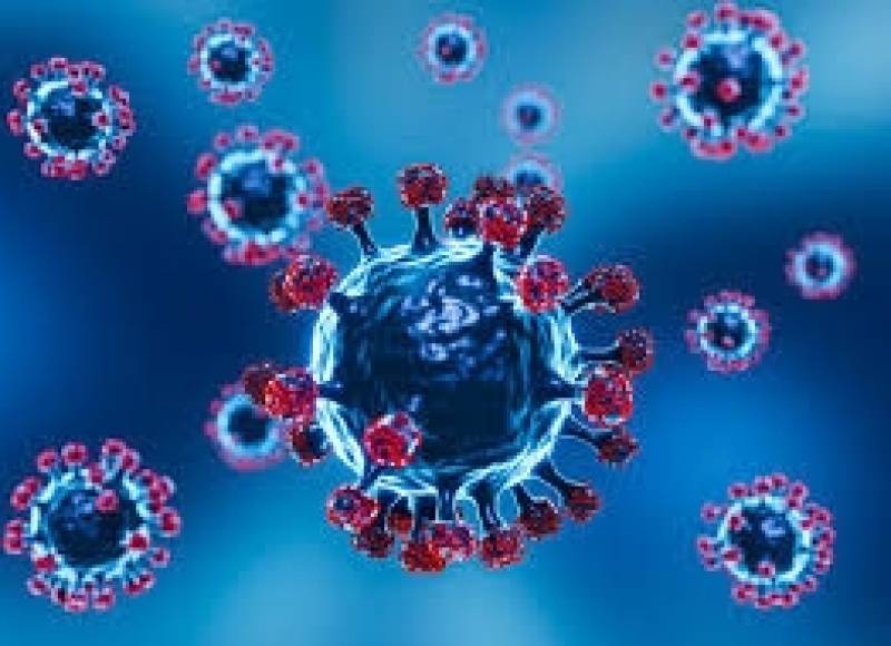 Boletim Epidemiológico da COVID-19